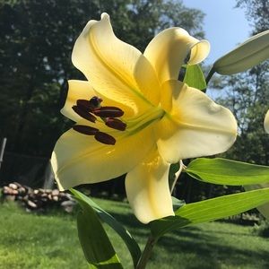 Meet your Posher, Aubrey